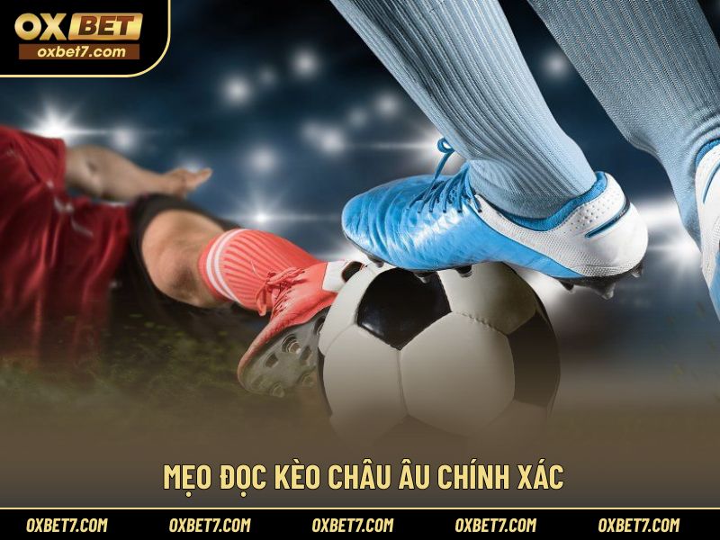 Chia sẻ kinh nghiệm áp dụng cách đọc kèo hiệu quả