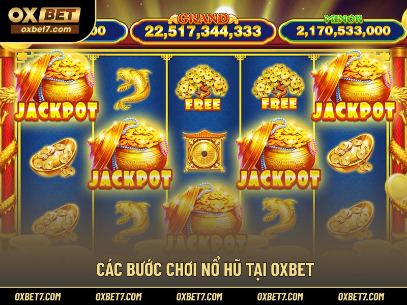 Hướng dẫn các thao tác cơ bản cho người mới tham gia