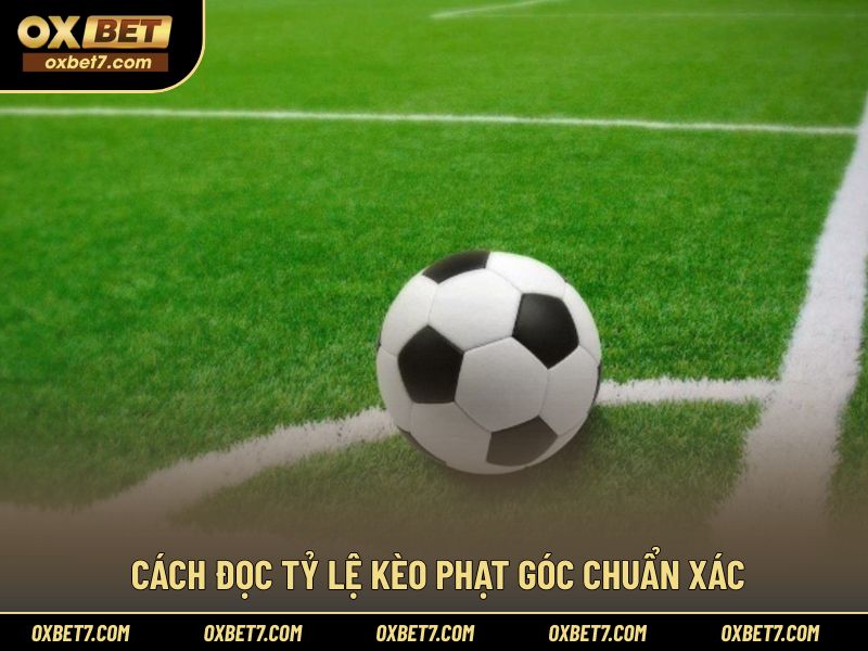 Hướng dẫn cách đọc kèo phạt góc trực quan dễ áp dụng