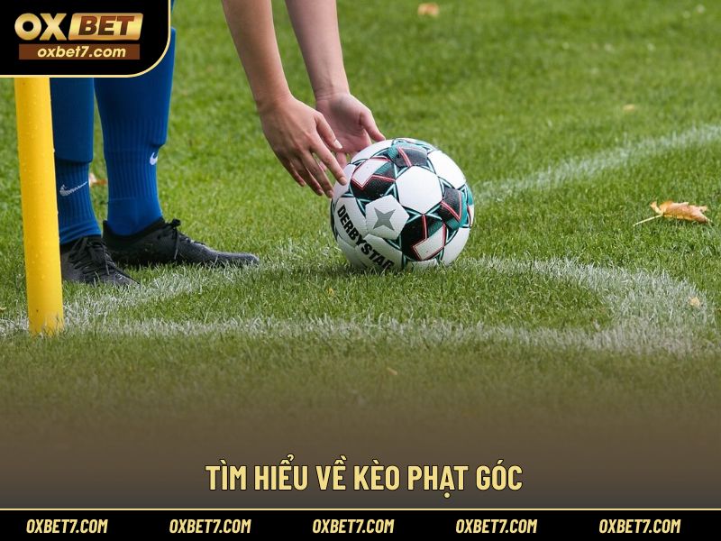 Kiến thức nền tảng cần biết trước khi phân tích kèo