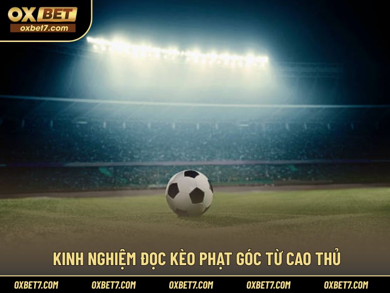 Kinh nghiệm thực tế từ người tham gia lâu năm