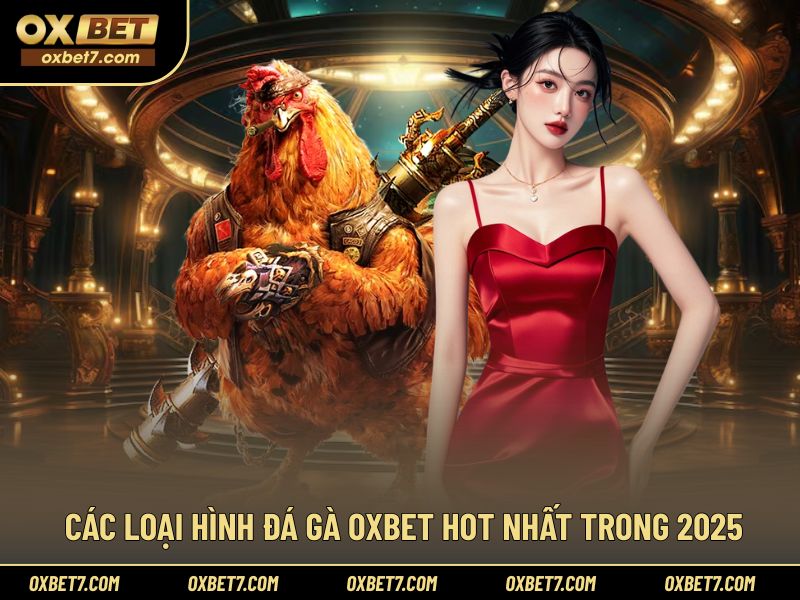 Danh sách các hình thức đá gà nổi bật nhất 2025 tại OXBET