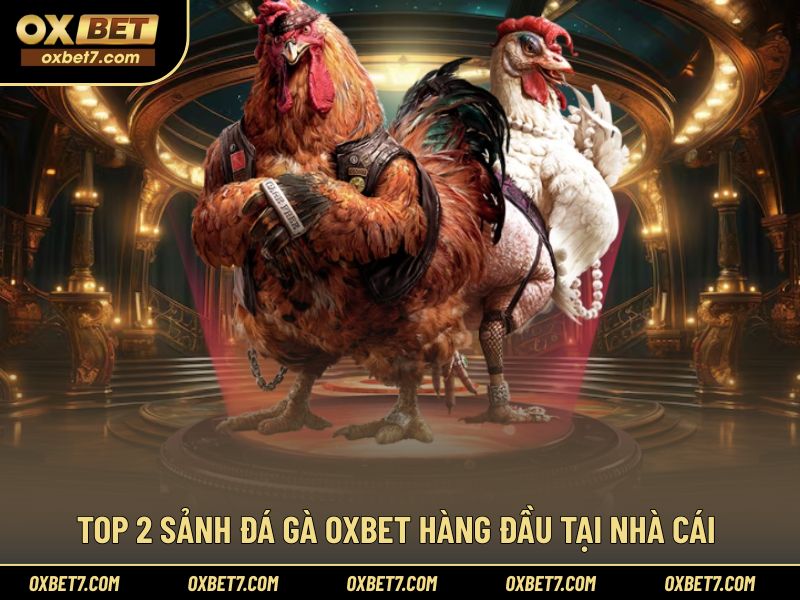 Top 2 khu vực đá gà OXBET được yêu thích nhất